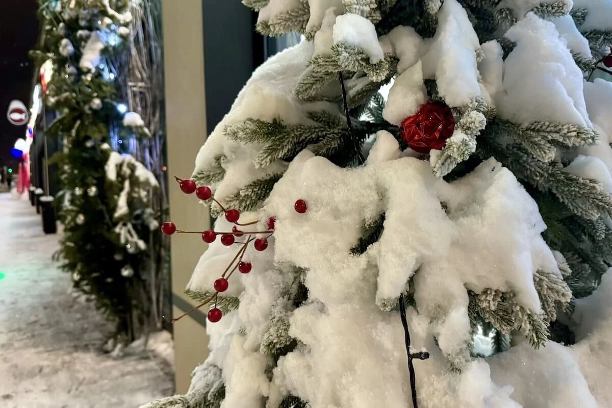 Фото: UfacityNews.ru