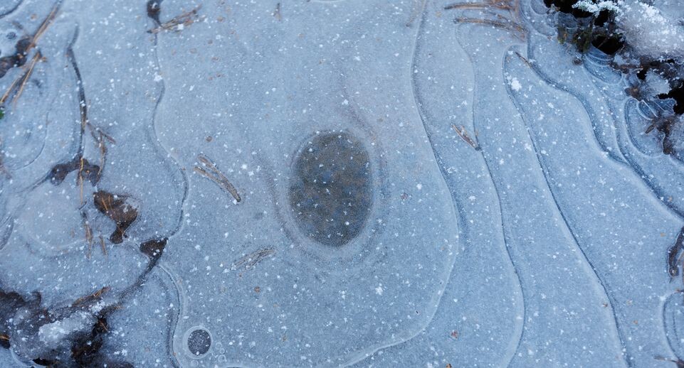    Зима наступила в Подмосковье / Медиасток.рф