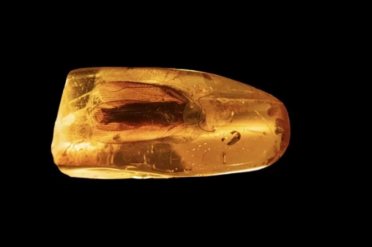    Янтарный комбинат выпустил лимитированные елочные игрушки к Новому году