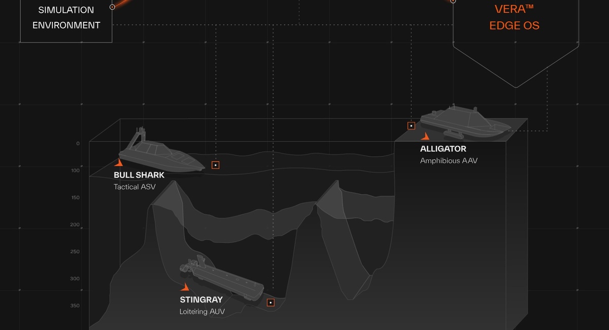    Несколько подводных аппаратов разных типов, связываются под водой.https://www.skanarobotics.com/systems