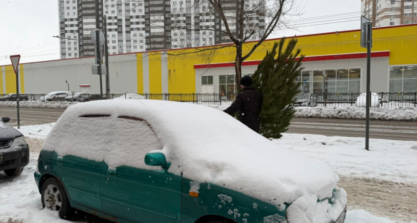    Фото: ПроГород