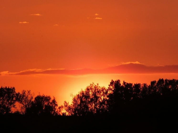     Изображение: Victor Lisitsyn /Global Look Press