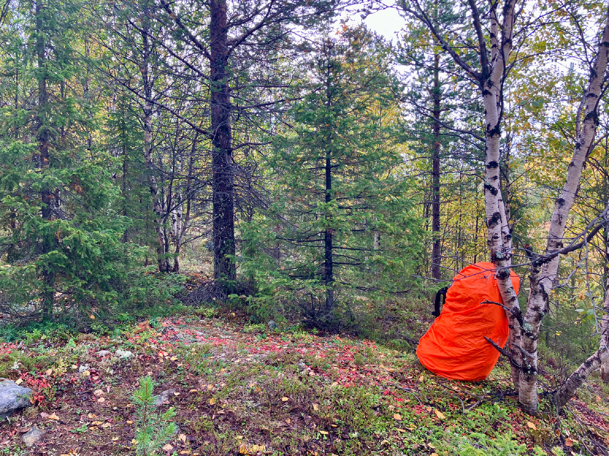 Место стоянки после окончания сборов. О вас должна напоминать только примятая трава)