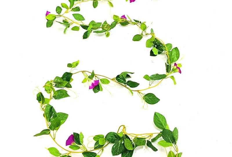 «Сибирский вьюн»: танец борьбы