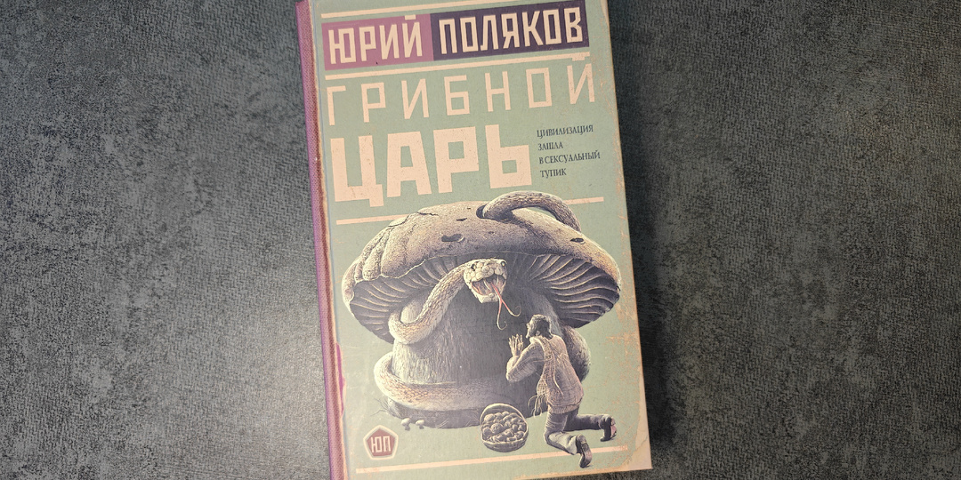 Первое знакомство с Юрием Поляковым