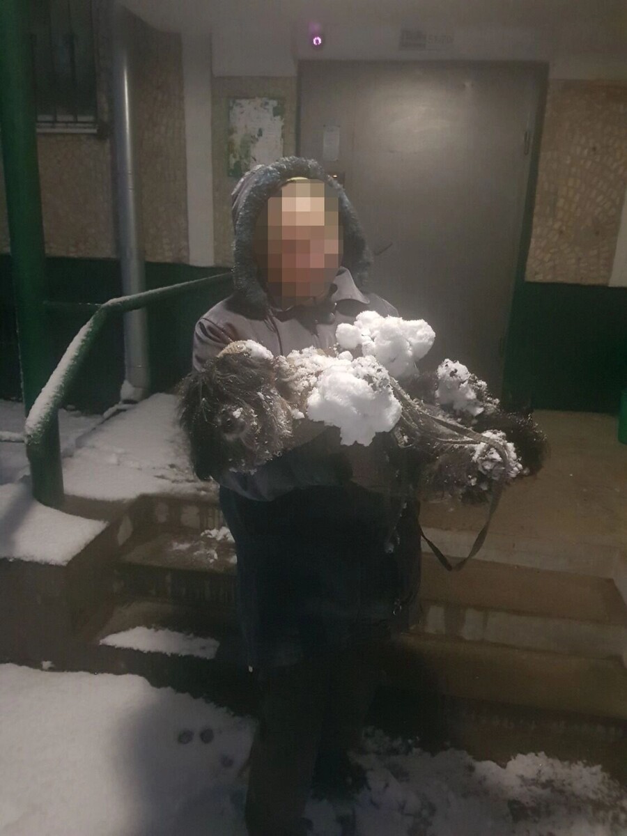   Как бы мало снега не выпало в Ростове к Новому году, домашних собак приходилось на руках заносить домой. У них тоже возникали трудности с передвижением.   rostovgazeta.ru