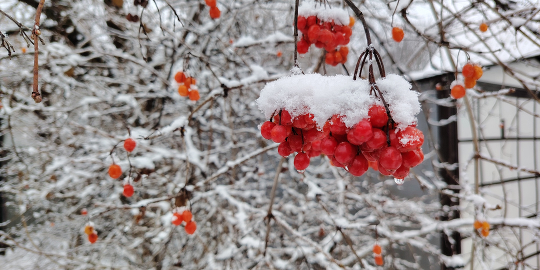 В Ростове-на-Дону много снега и новогоднее настроение