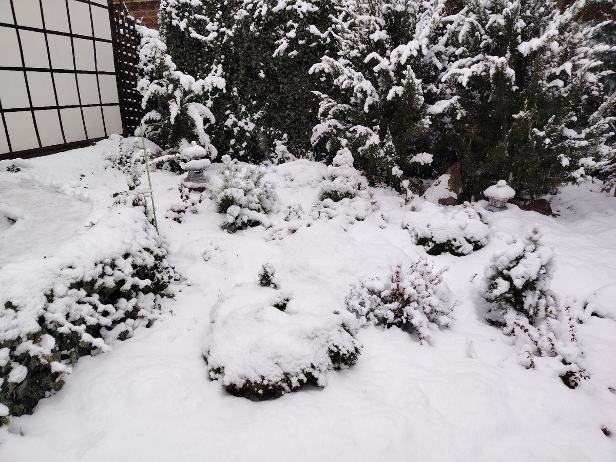 Уголок японского сада