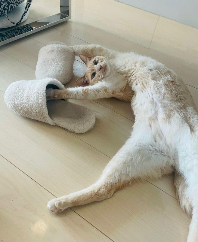 источник Яндекс-картинки