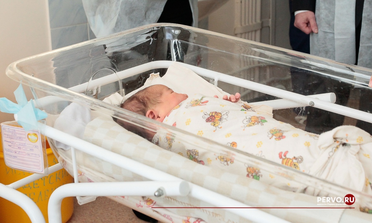 Фото Кравчук Максим / www.pervo.ru