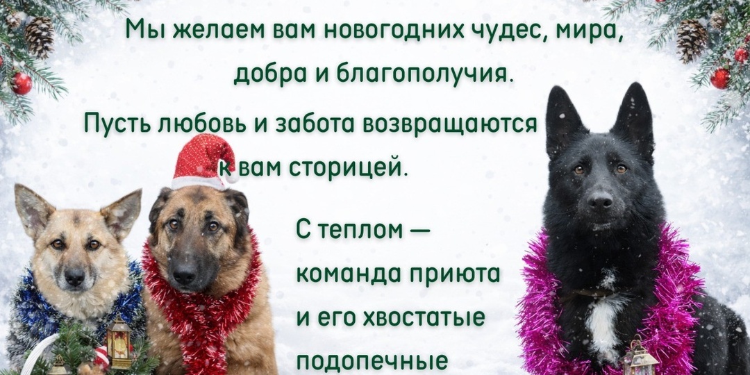 Поздравляем с наступающим Новым годом!