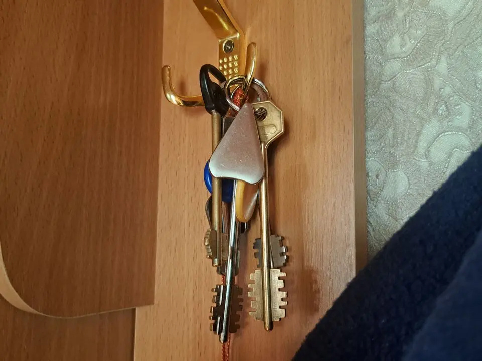    Фото: REGIONS/Татьяна Замятина