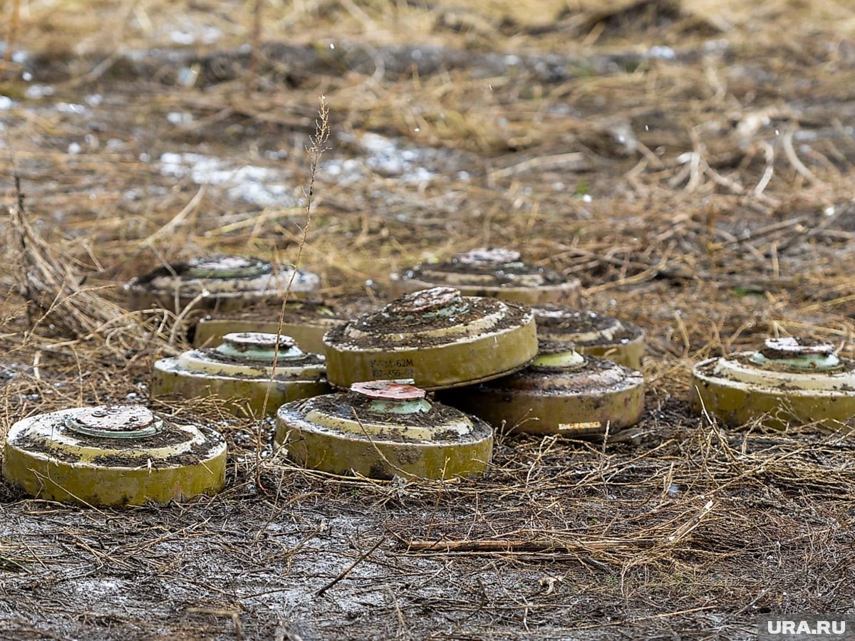     План предусматривает оснащение мостов инженерными конструкциями