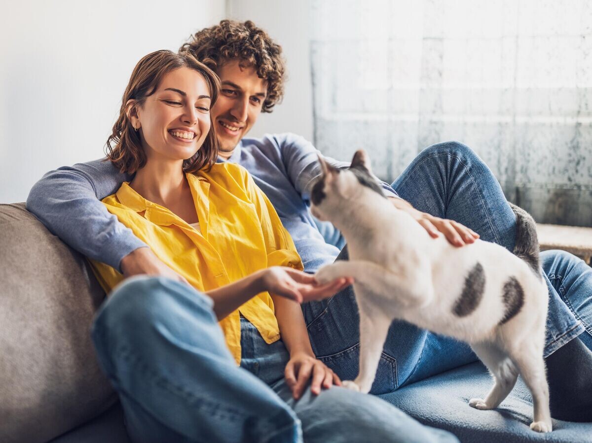    Счастливая пара играет с кошкой | © iStock.com / Photodjo