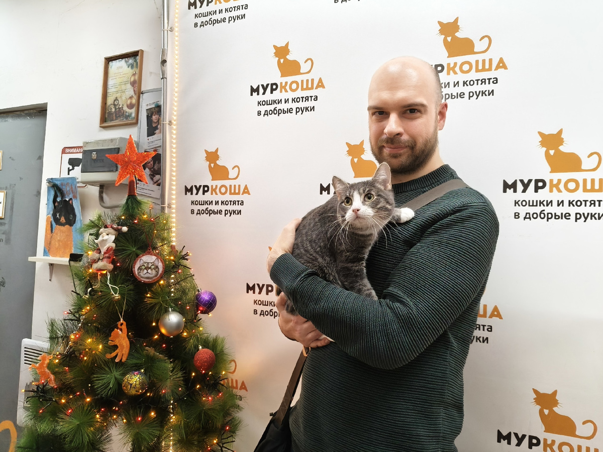 Серый Ёж стал новым членом семьи.