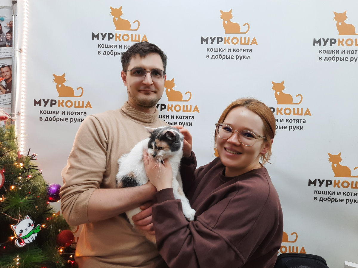 Трёхцветная красавица уезжает домой. 