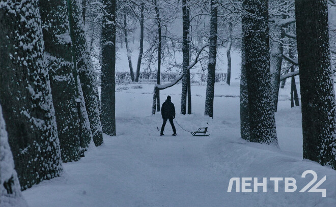    © Анастасия Илюшина / ЛенТВ24, архивное фото
