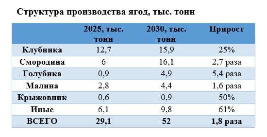 По итогам 2030 года Россия способна увеличить сбор ягод почти в 1,8 раза – РСХБ