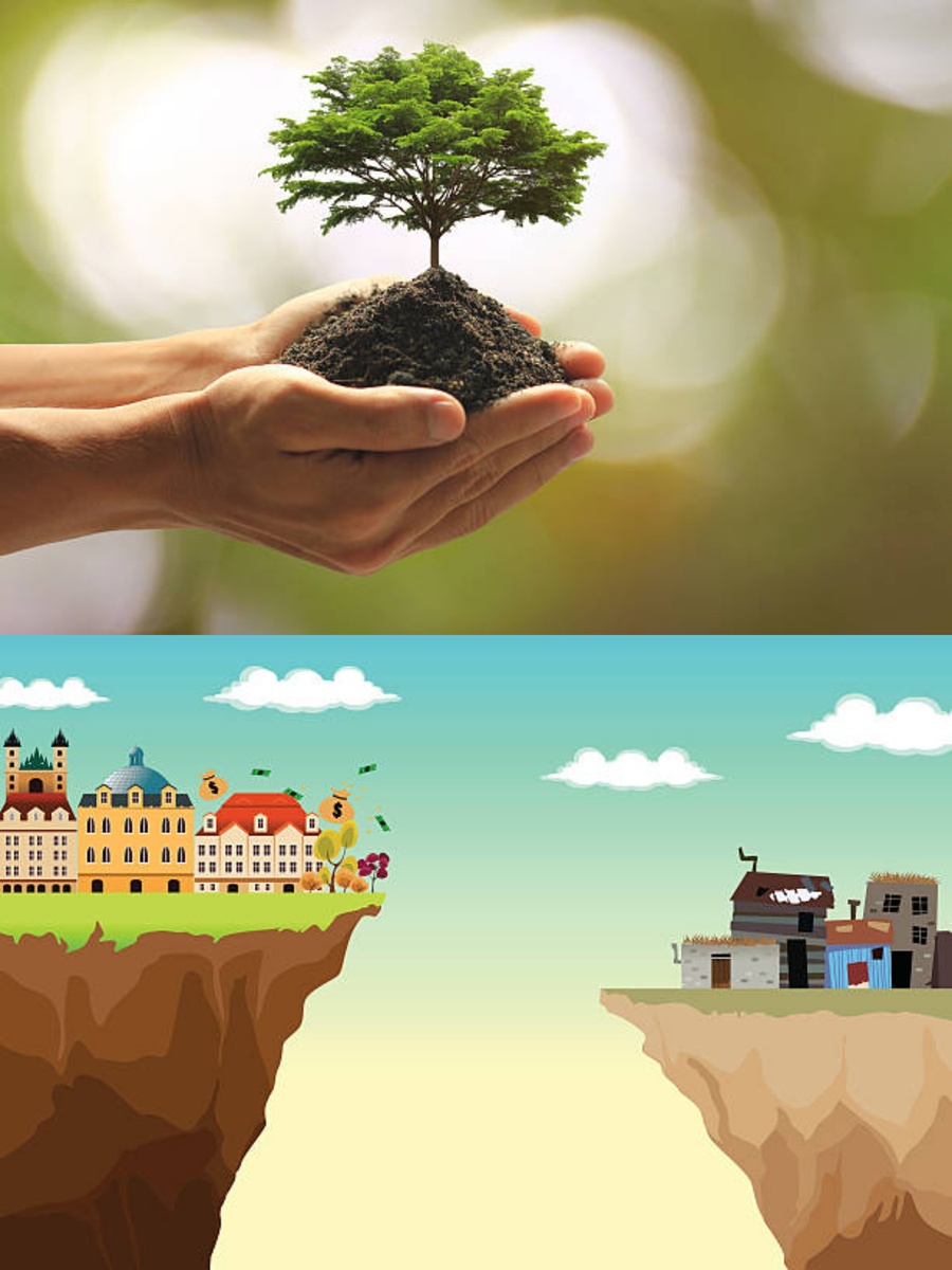 Фотоколлаж автора статьи