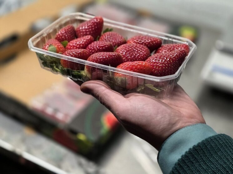     Весь контроль занял не более четырёх часов. Фото: Северо-Западное таможенное управление.