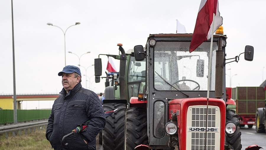    Фото: Global Look Press/Attila Husejnow/Keystone Press Agency