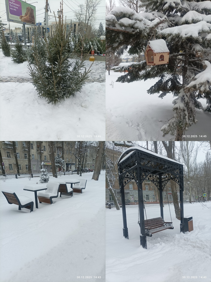 Коллаж из моих фото. Прогулка по аллее. 