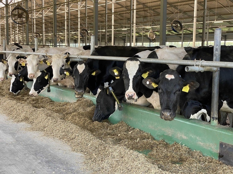     Фото МК в Рязани