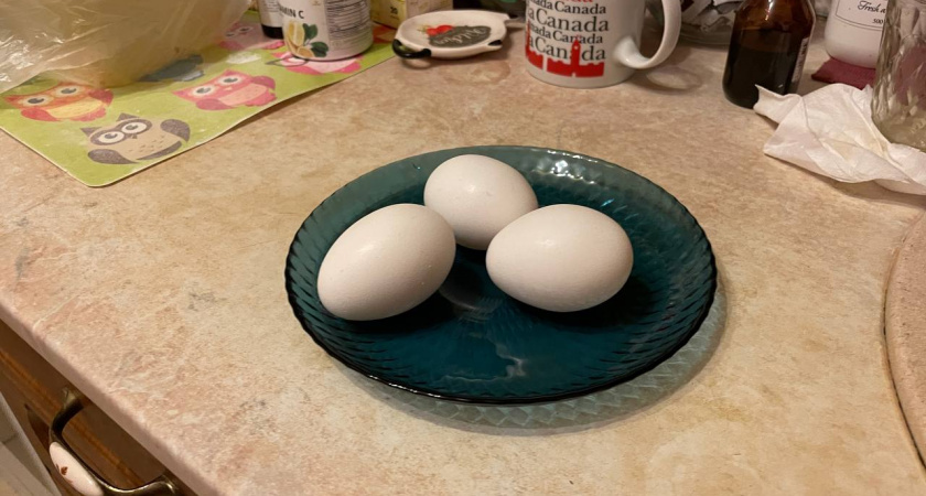    Автор фото - Анна Ефимова