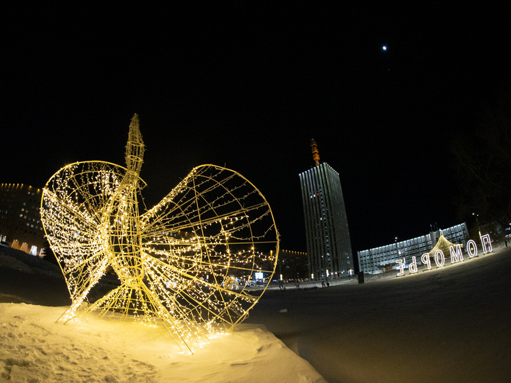     Фото архив ИА «Регион 29»