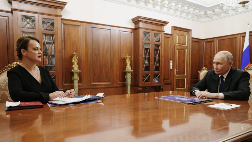    Фото: © РИА Новости/Михаил Метцель; 5-tv.ru