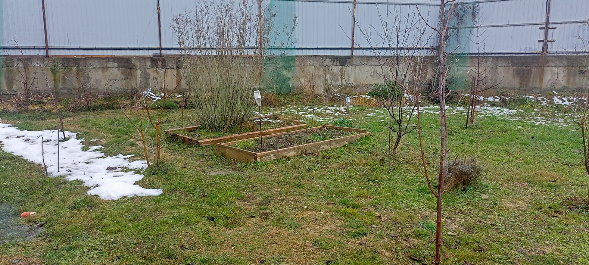 Снег на моем участке