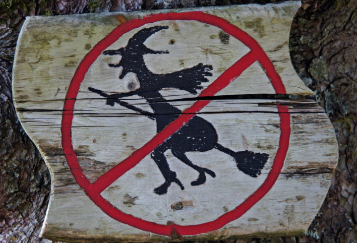 фото: pxhere.com