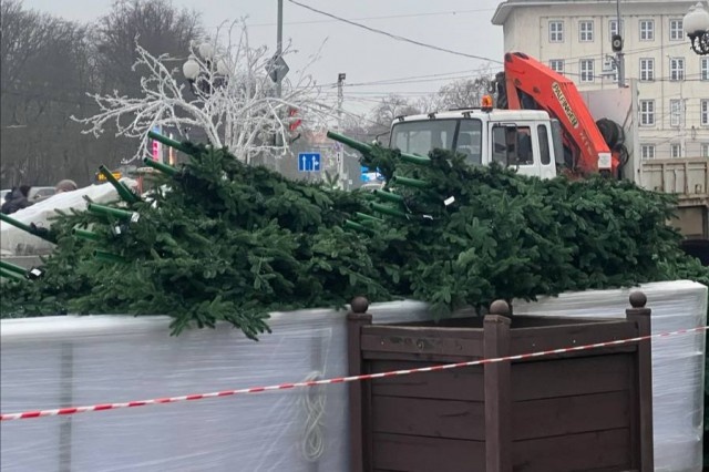   Фото: Калининград.Ru