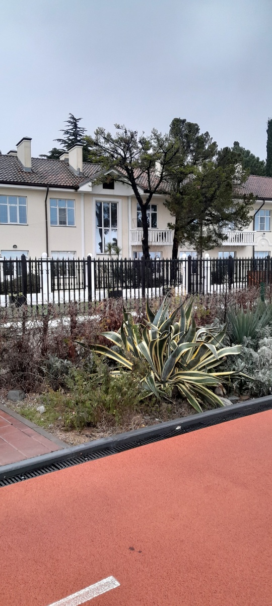 БО "Адлер" 1 береговая линия.