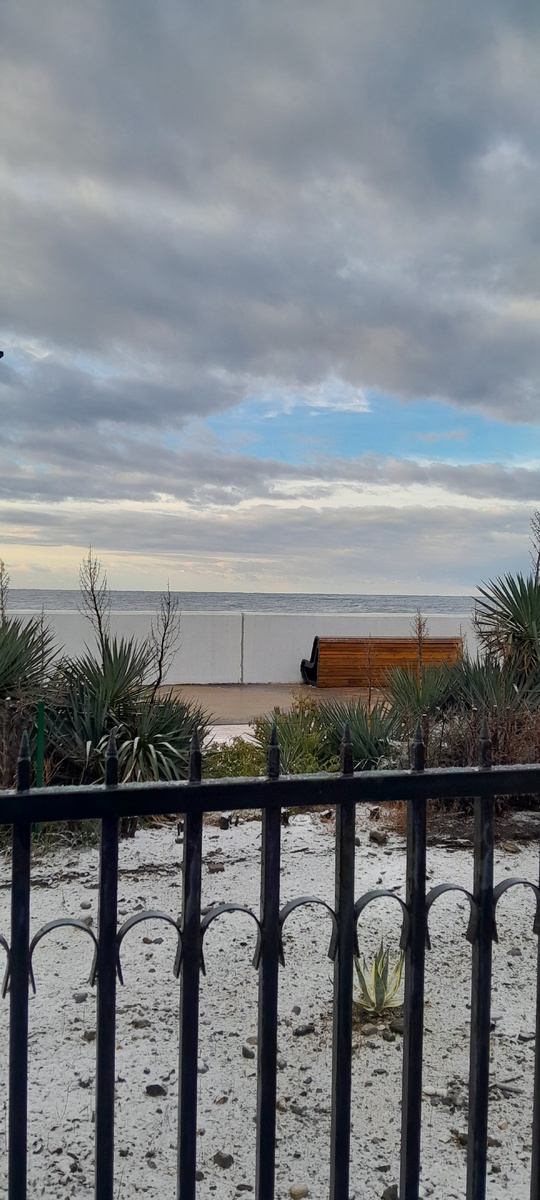 Вид с территории отеля "Адлер" на набережную. 