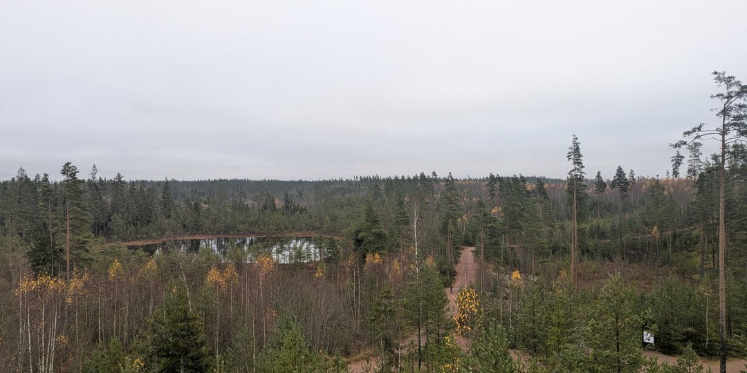 Экотропа Ярви