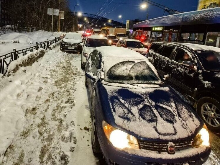     фото: пресс-служба УМВД Мурманской области.