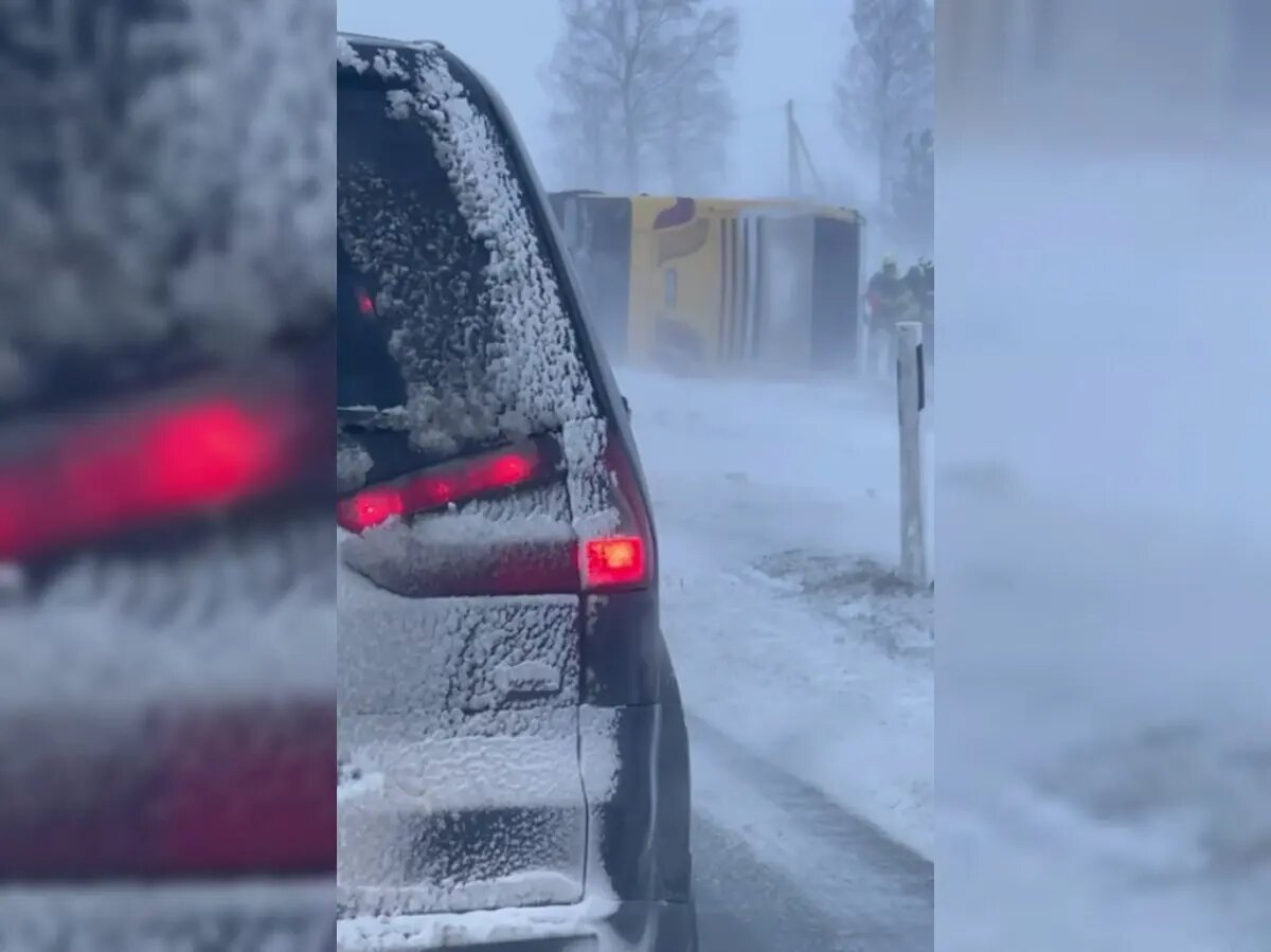    Фото: стоп-кадр видео из тг-канала телеканала 78.