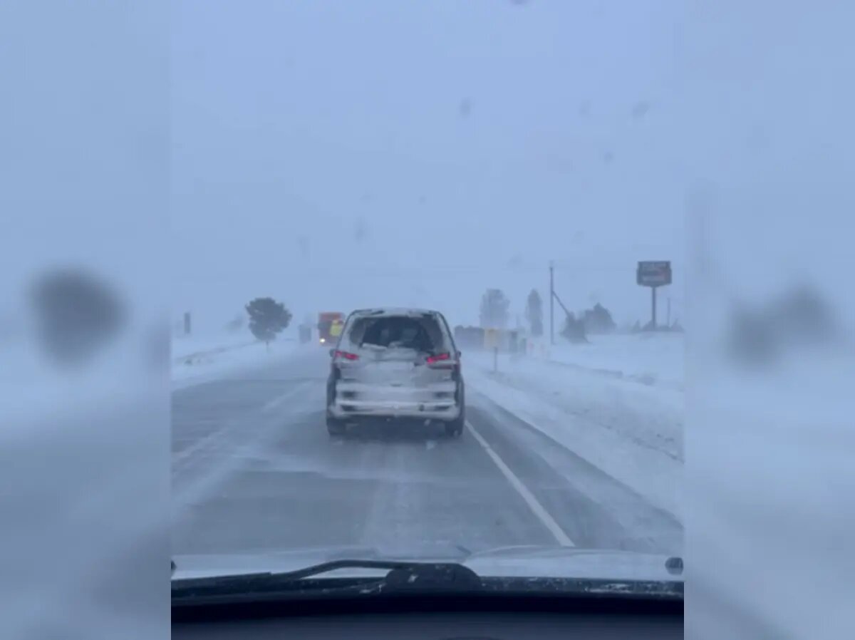    Фото: стоп-кадр видео из тг-канала телеканала 78.