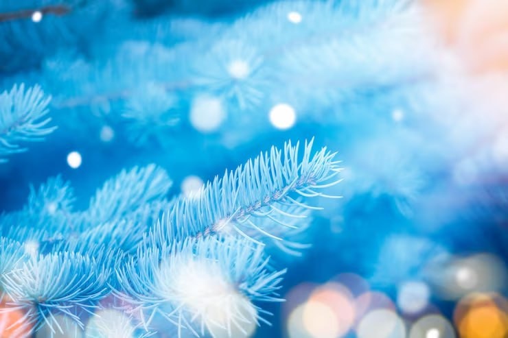 🎄 Последнее обращение в 2025 году