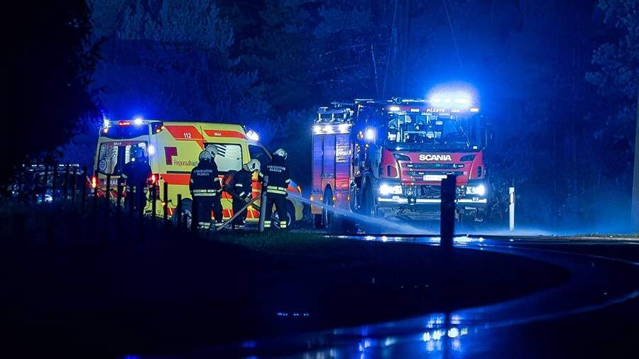    Фото: TASS/IMAGO/Eero Vabamägi