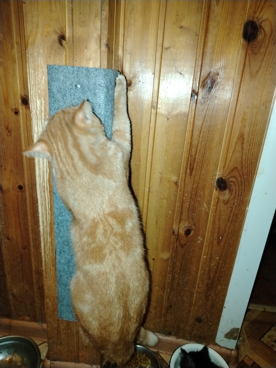 Эти двусторонние. Будут подольше служить. 