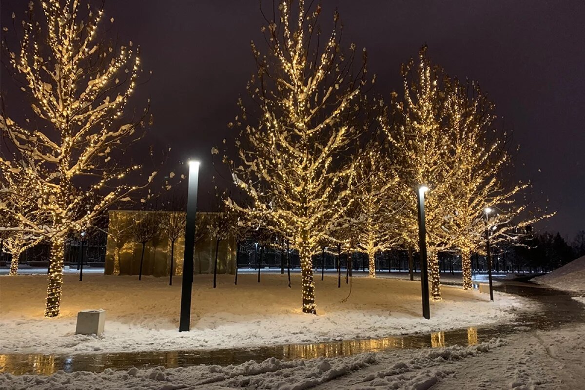    Жителей Краснодарского края ждет морозный и снежный Новый год