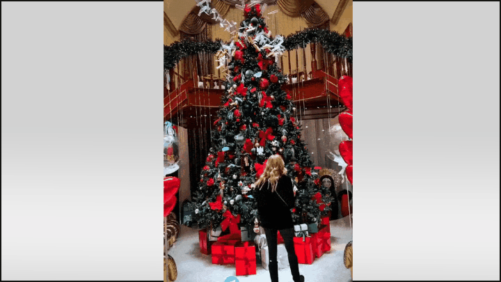    Не просто новогодняя ёлка, а целый музей! Видео: ТГ-канал @starsdustpro