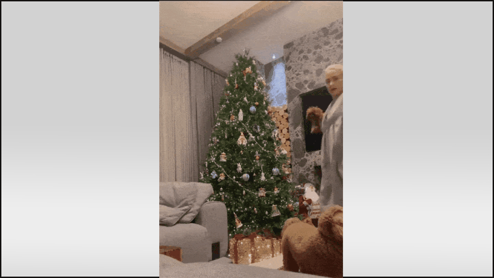    Видео: ТГ-канал @starsdustpro