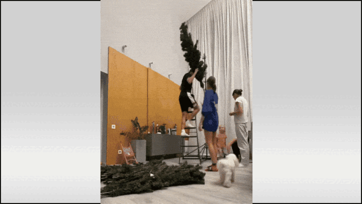    Зато посмотрите, как работают слаженно - сразу видно, командная работа! Видео: ТГ-канал @starsdustpro