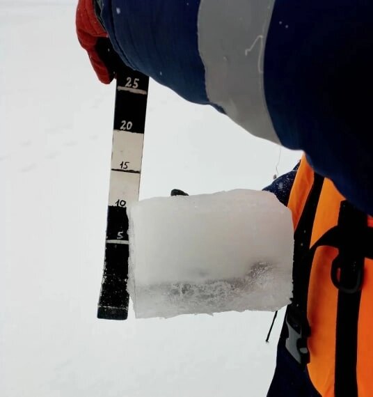    Фото: Администрация города Ульяновска