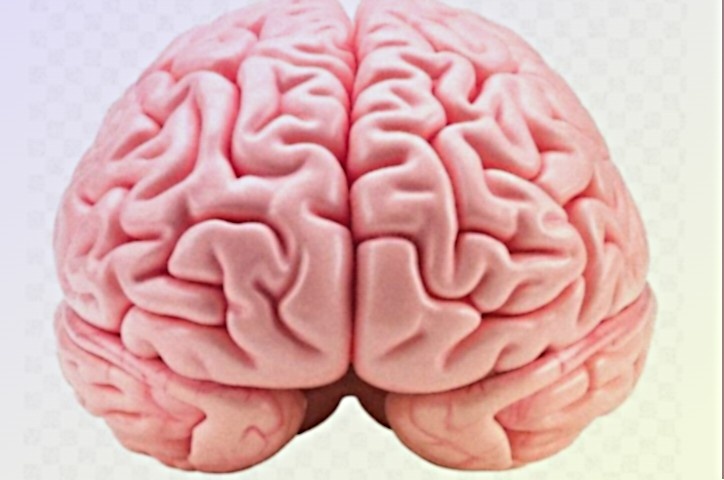 Как остановить механизмы старения мозга