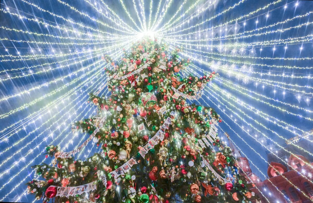     © РИА Новости. Евгений Биятов