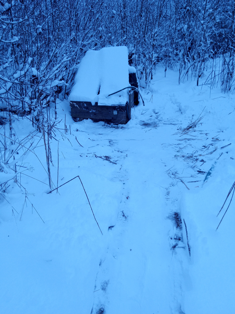 Это не сарай, это мой колодец! 🤣🤣🤣